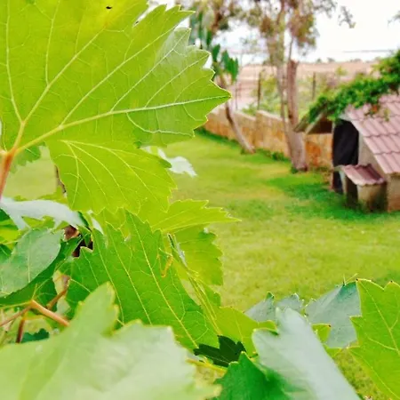 Vakantiehuis Casa Vacanze La Baita